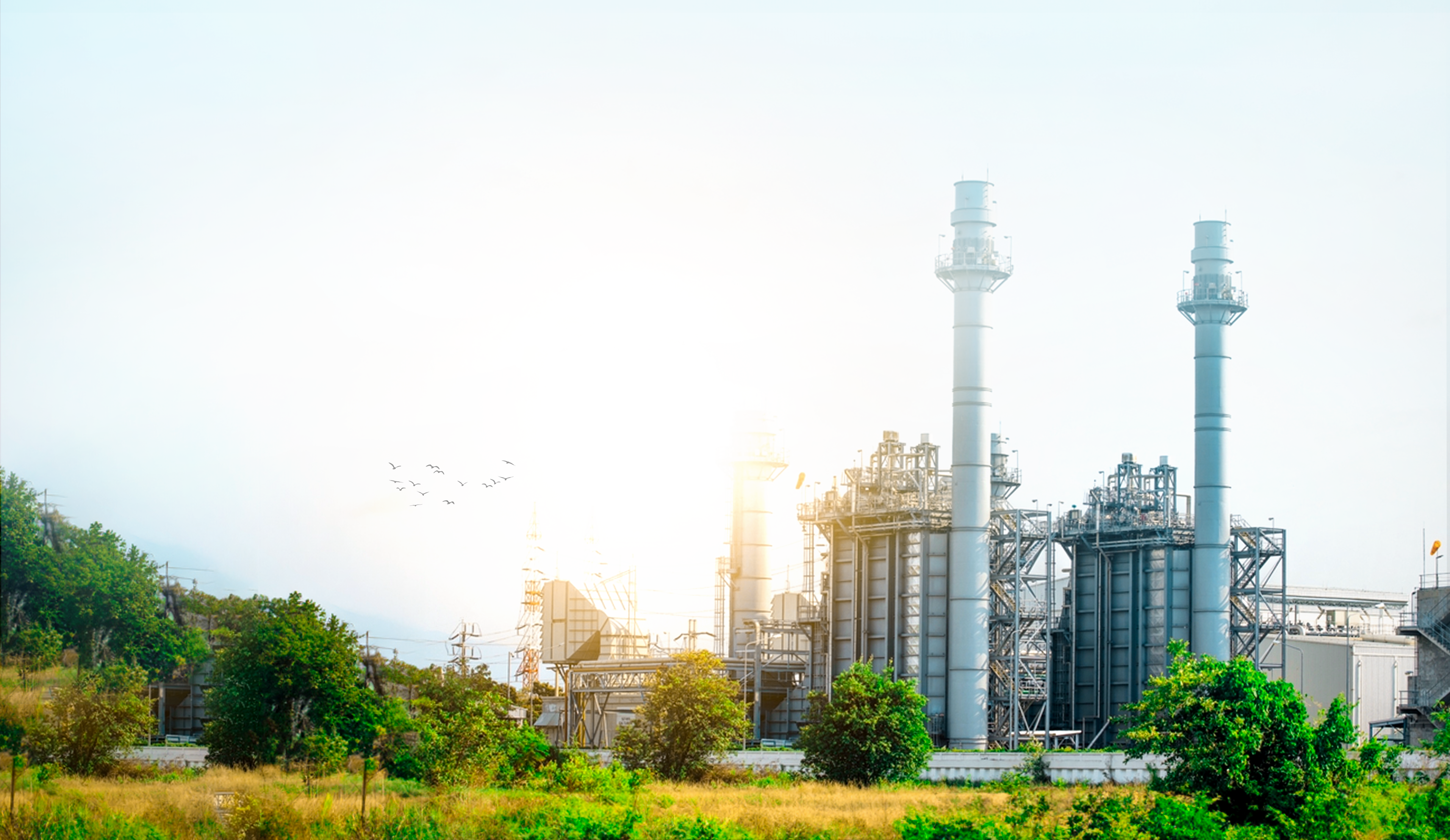 Reducing carbon footprint in construction