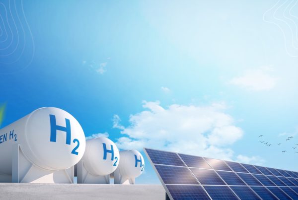 Renewable Energy Sector