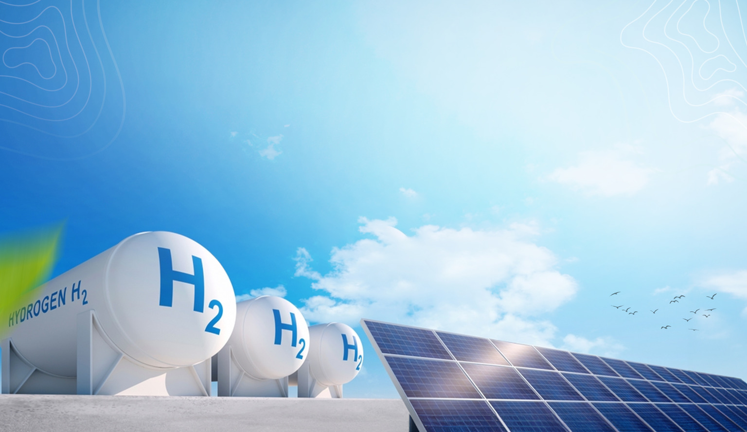 Renewable Energy Sector