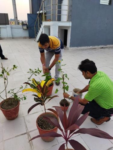 Tree Plantation Drive - June 2022