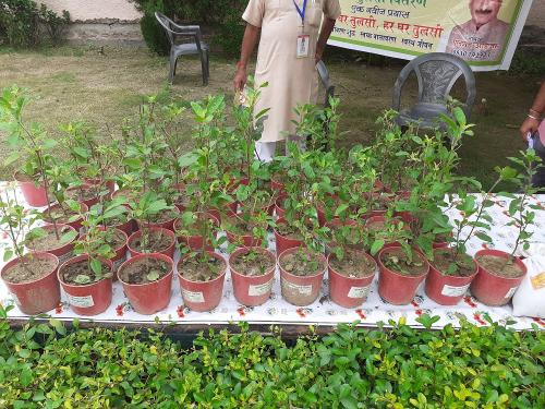 7 (1) (1) (1) (1) (1) (1)